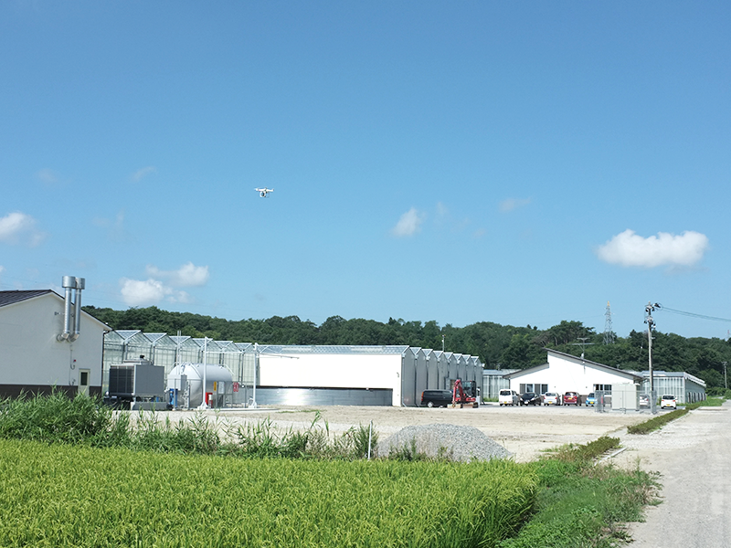 マキシマファームの風景